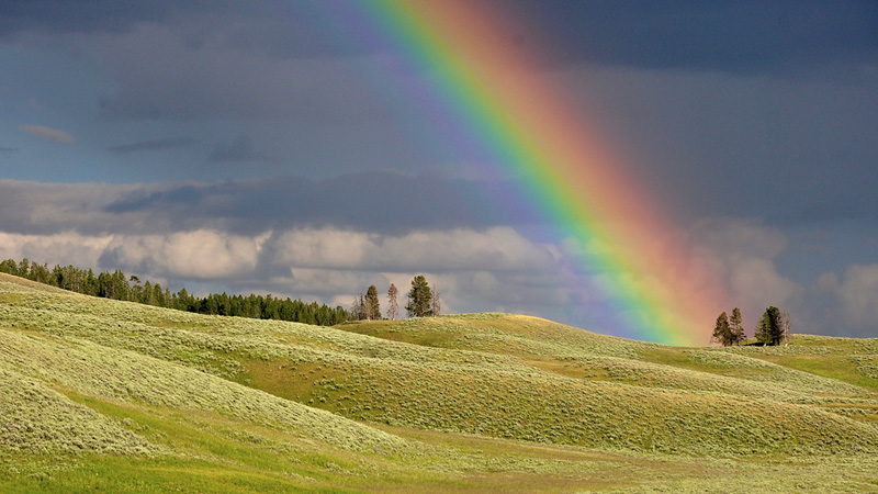 Lament & A Rainbow Promise for All