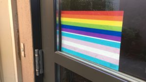 rainbow and trans pride flags