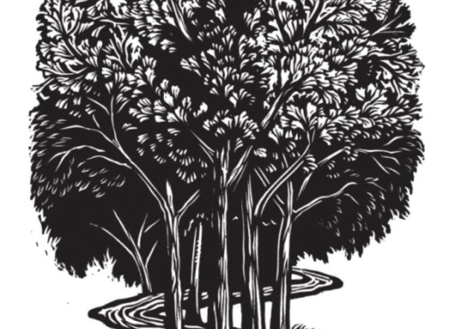 You Are Like Trees Planted by Streams of Water