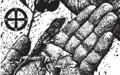 Dreaming the Impossible