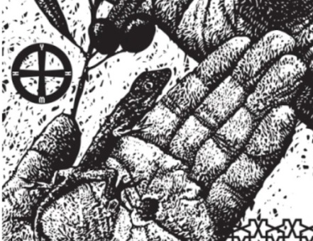 Dreaming the Impossible